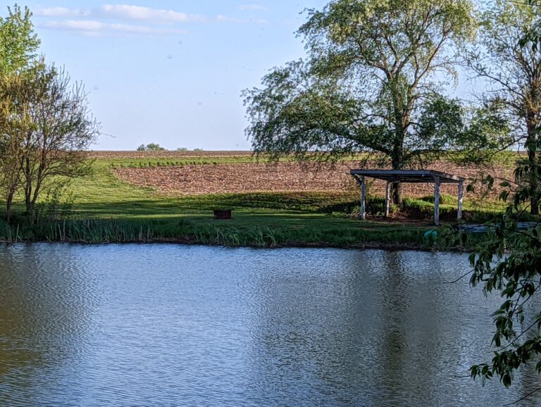 The pond on a nice warm day.