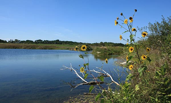 Courtesy of Illinois Department of Natural Resources